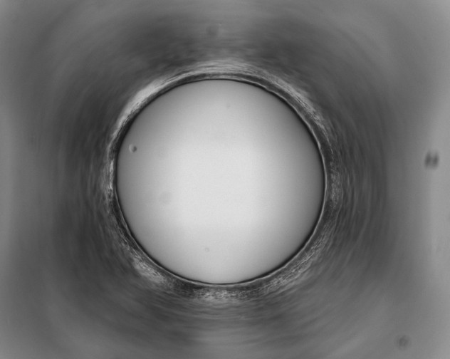 X0000098051366200804181312