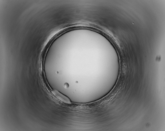 X0000098051368200804181312