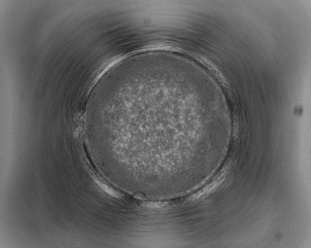 X0000098051369200804181312