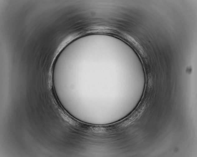 X0000098051370200804181312