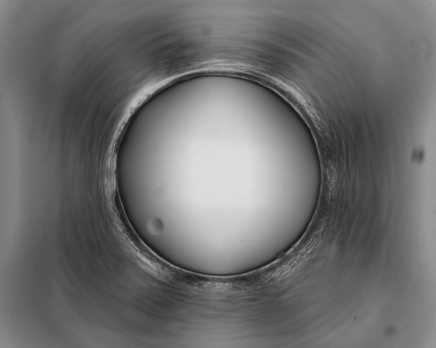 X0000098051371200804181312