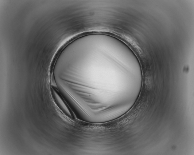 X0000098051372200804181312