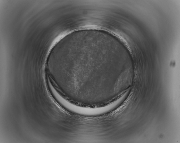 X0000098051373200804181312