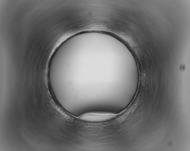 X0000098051374200804181312