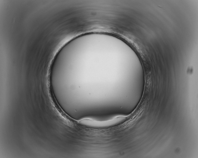 X0000098051375200804181312