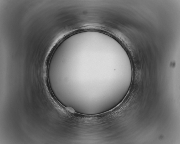 X0000098051376200804181312