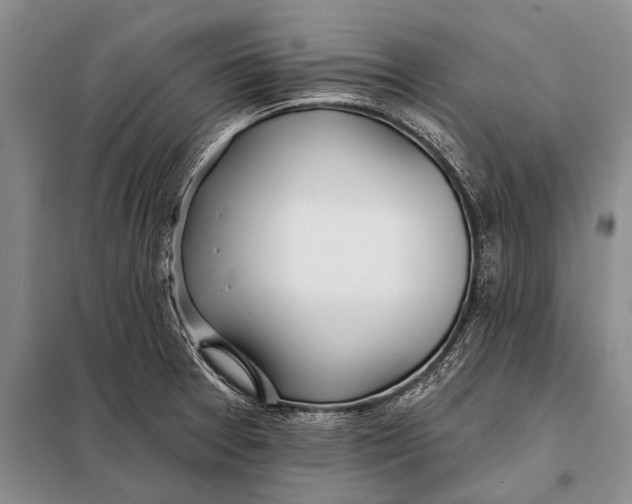 X0000098051377200804181312