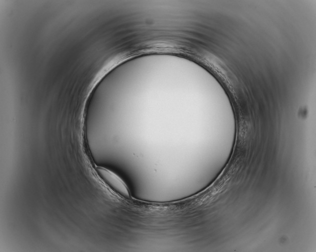 X0000098051378200804181312