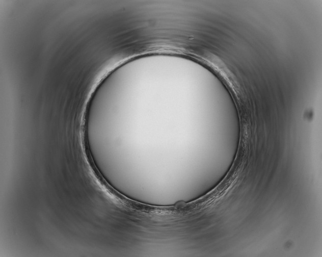 X0000098051379200804181312