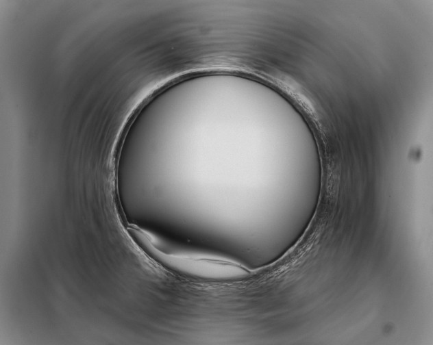 X0000098051380200804181312