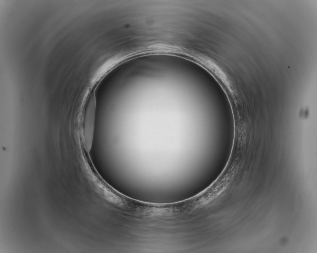 X0000098051381200804181312