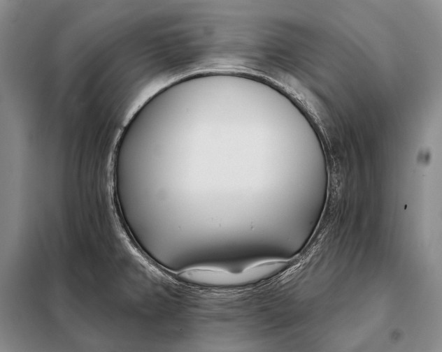 X0000098051382200804181312