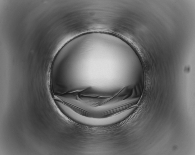 X0000098051383200804181312