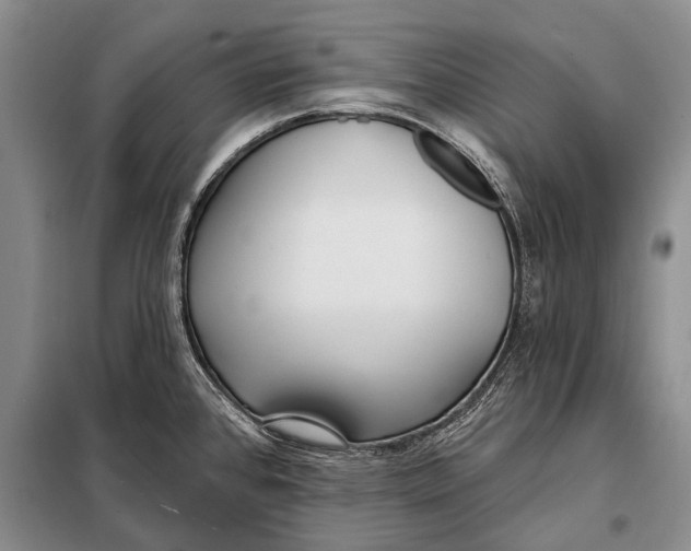 X0000098051384200804181312