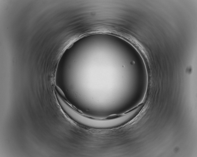 X0000098051385200804181312