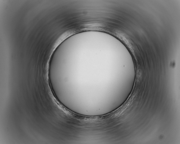 X0000098051386200804181312