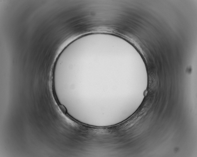 X0000098051387200804181312