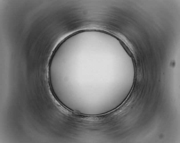 X0000098051388200804181312