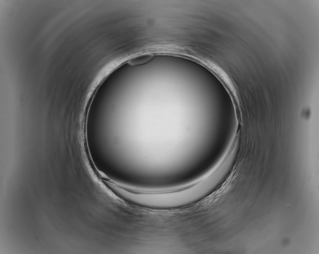 X0000098051389200804181312