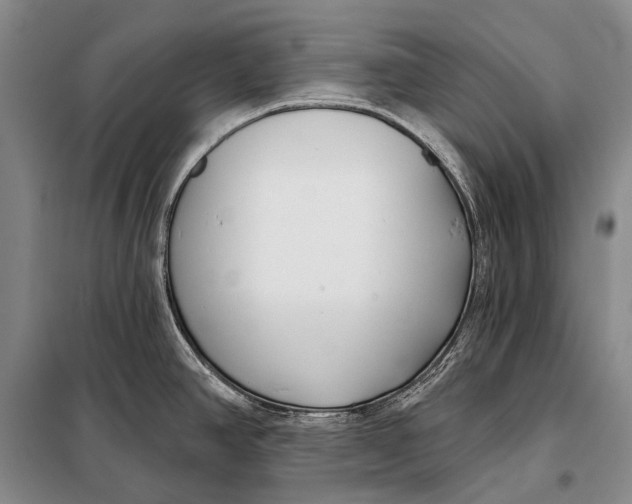 X0000098051390200804181312