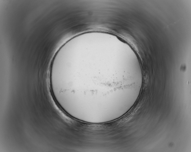 X0000098051391200804181312