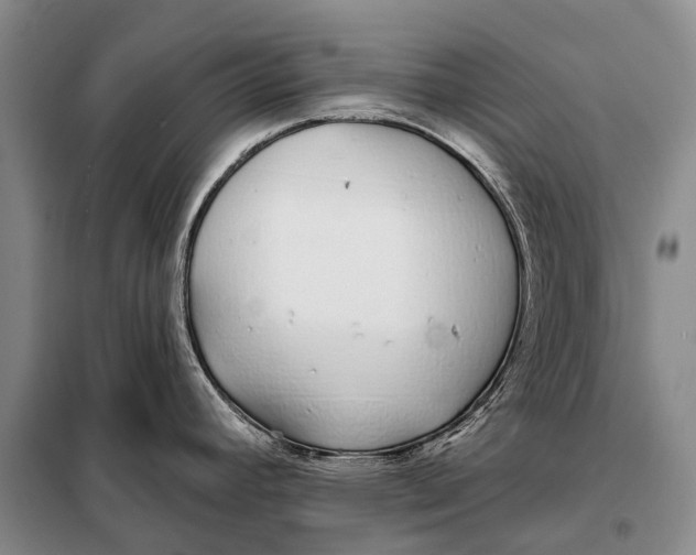 X0000098051392200804181312