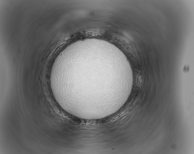 X0000098051393200804181311