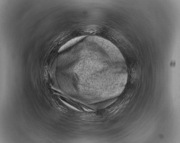 X0000098051394200804181311