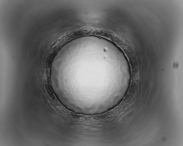 X0000098051397200804181311