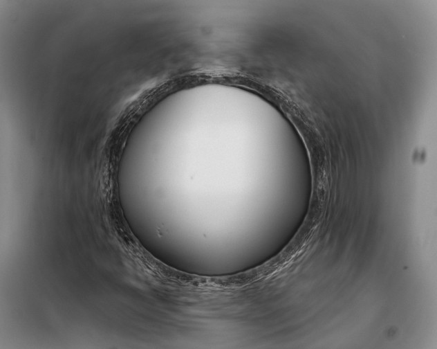 X0000098051398200804181311