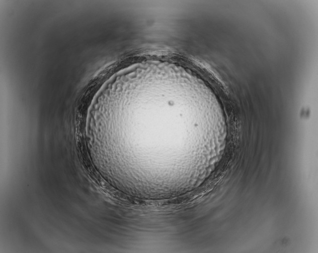 X0000098051399200804181311