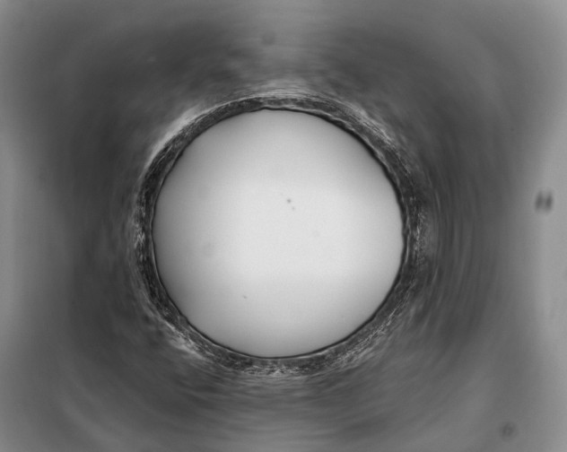 X0000098051400200804181311