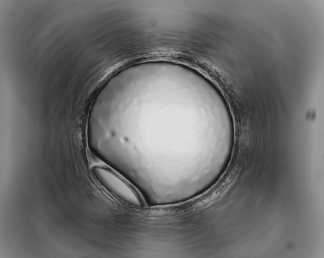 X0000098051401200804181311