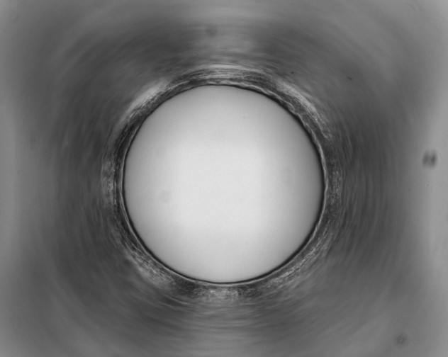 X0000098051403200804181311