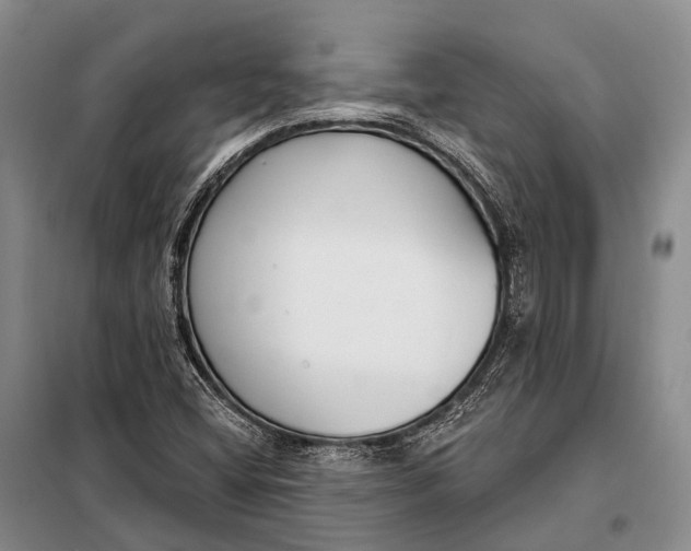 X0000098051404200804181311