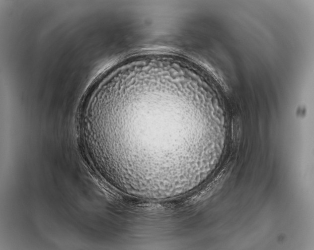 X0000098051405200804181311