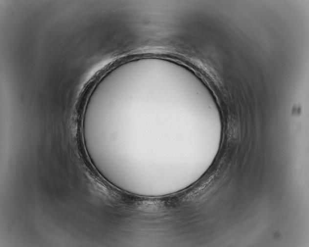 X0000098051406200804181311