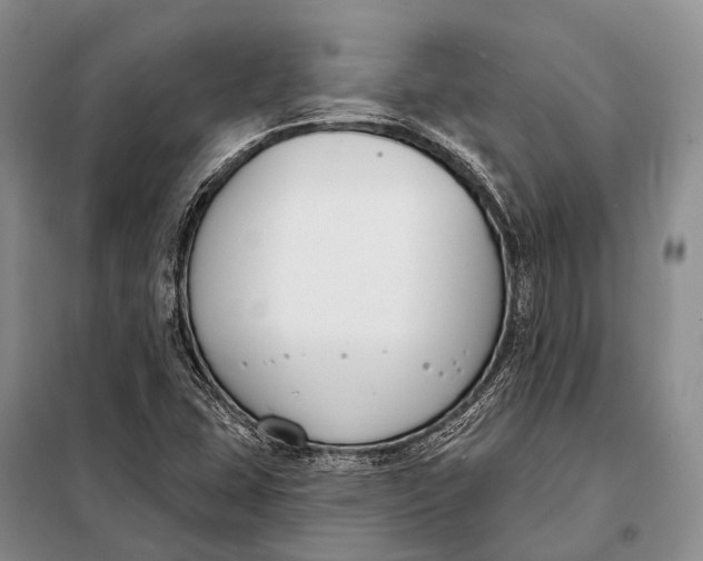 X0000098051407200804181311