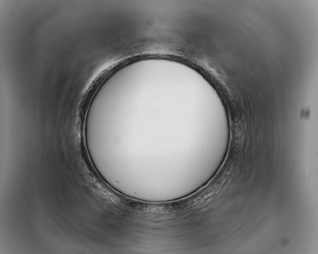 X0000098051408200804181311