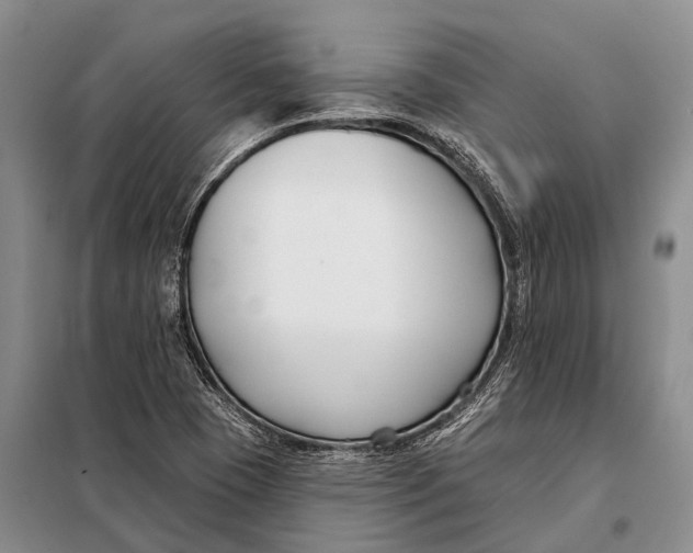 X0000098051409200804181311