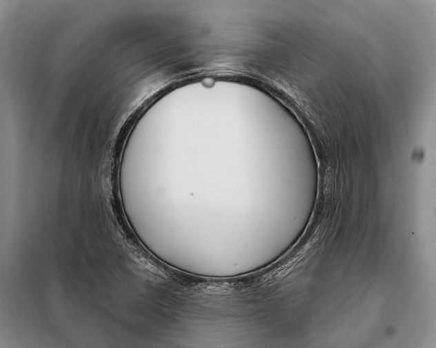 X0000098051410200804181311