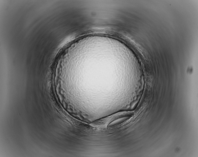 X0000098051411200804181311