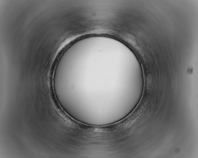 X0000098051412200804181311