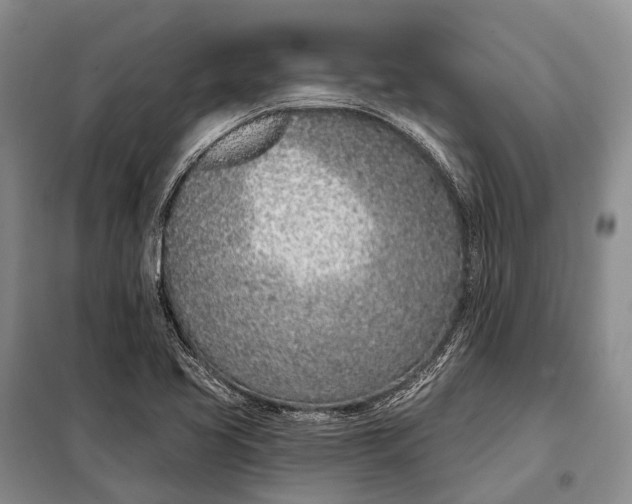 X0000098051413200804181311