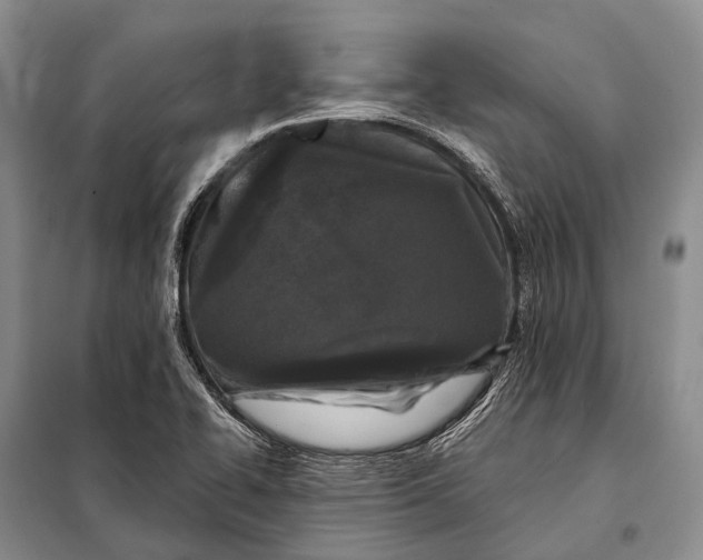 X0000098051414200804181311