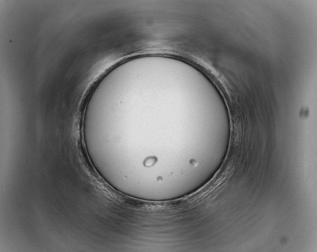 X0000098051415200804181311