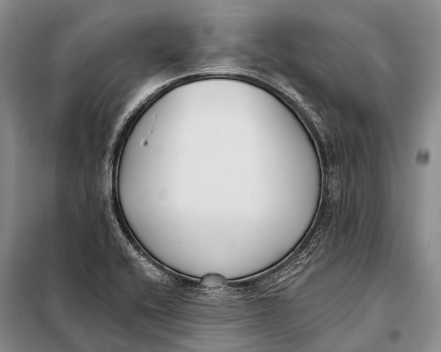 X0000098051416200804181311