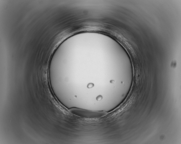 X0000098051417200804181311