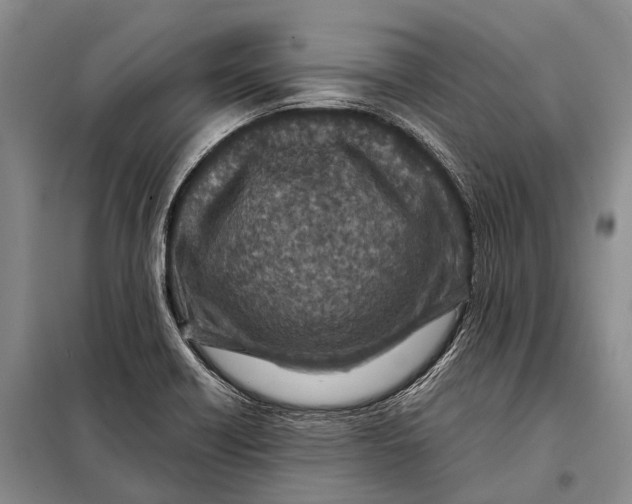 X0000098051418200804181311