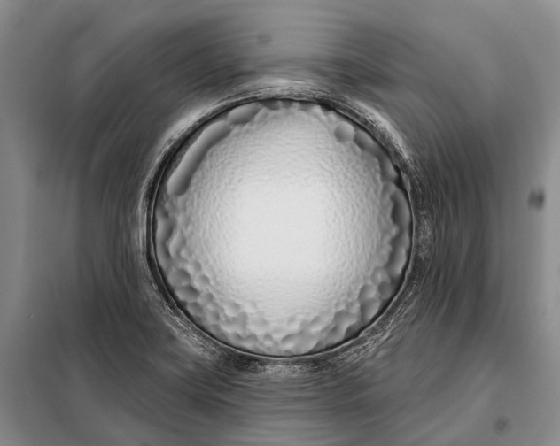 X0000098051419200804181311